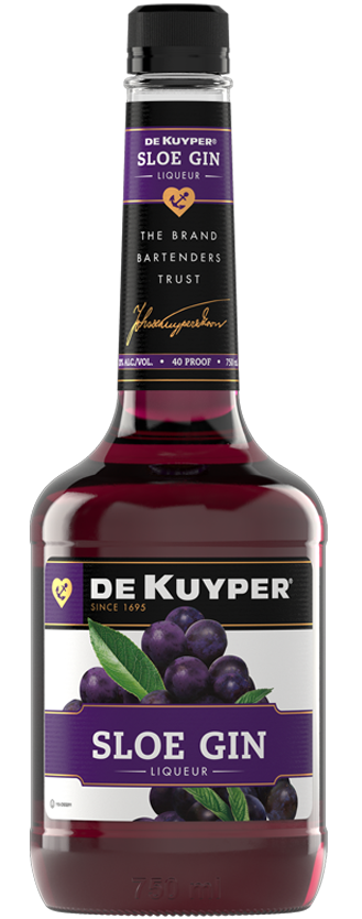 Bottle of DeKuyper® Sloe Gin
