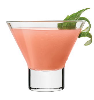 DeKuyper® Watermelon Martini